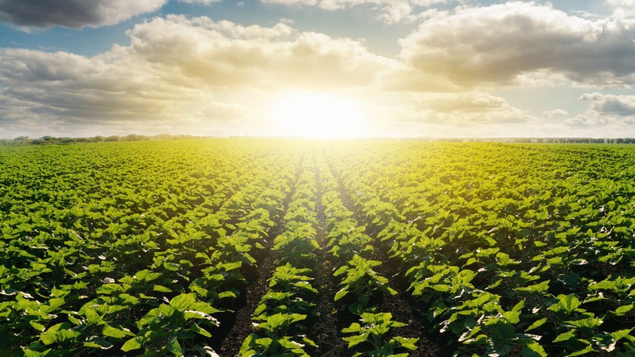 Nigeria and Brazil Strengthen Agricultural Ties with Landmark MoU Nigeria and Brazil Strengthen Agricultural Ties with Landmark MoU