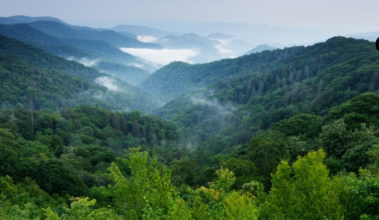 Global Summit in Rome: Countries Push for $200 Billion Annual Biodiversity Fund Global Summit in Rome: Countries Push for $200 Billion Annual Biodiversity Fund