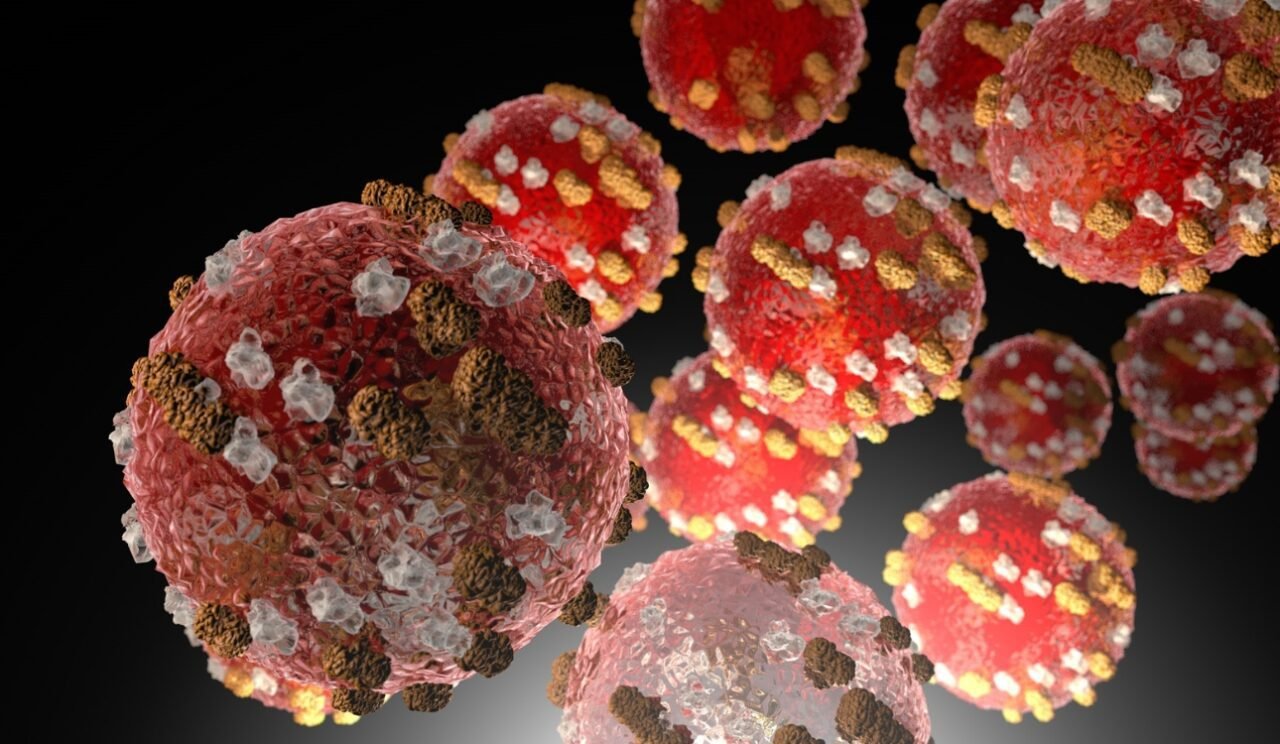 NCDC Confirms Lassa Fever Death of UK Returnee, Raises Public Alert