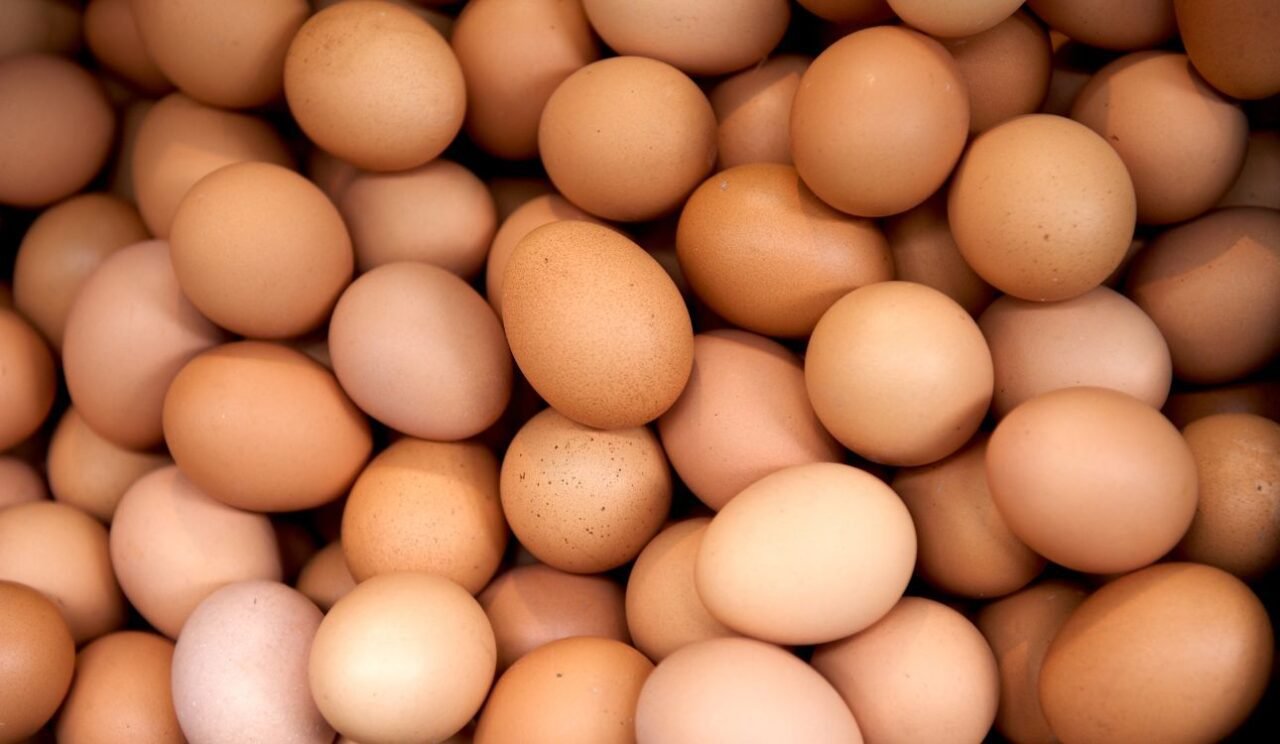 U.S. Seeks European Egg Imports Amid Soaring Prices