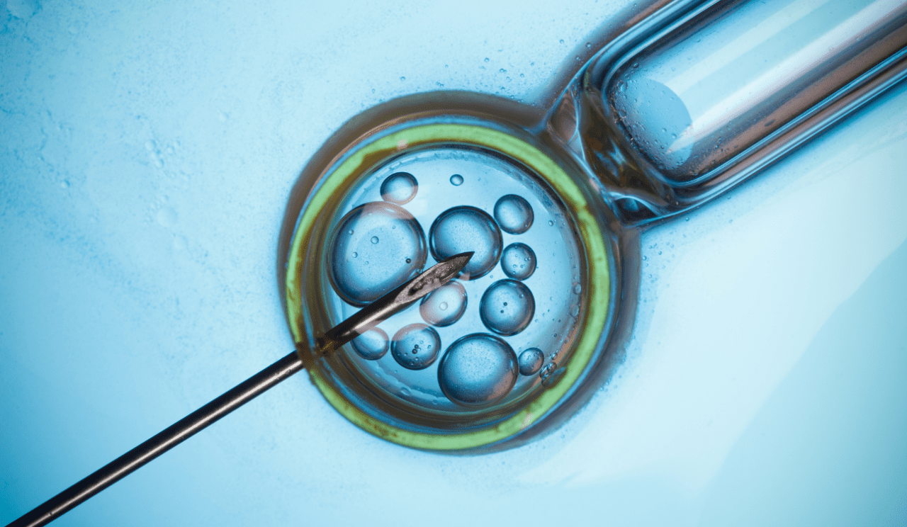 Australian Woman Gives Birth to Another Couple’s Child After IVF Mix-Up