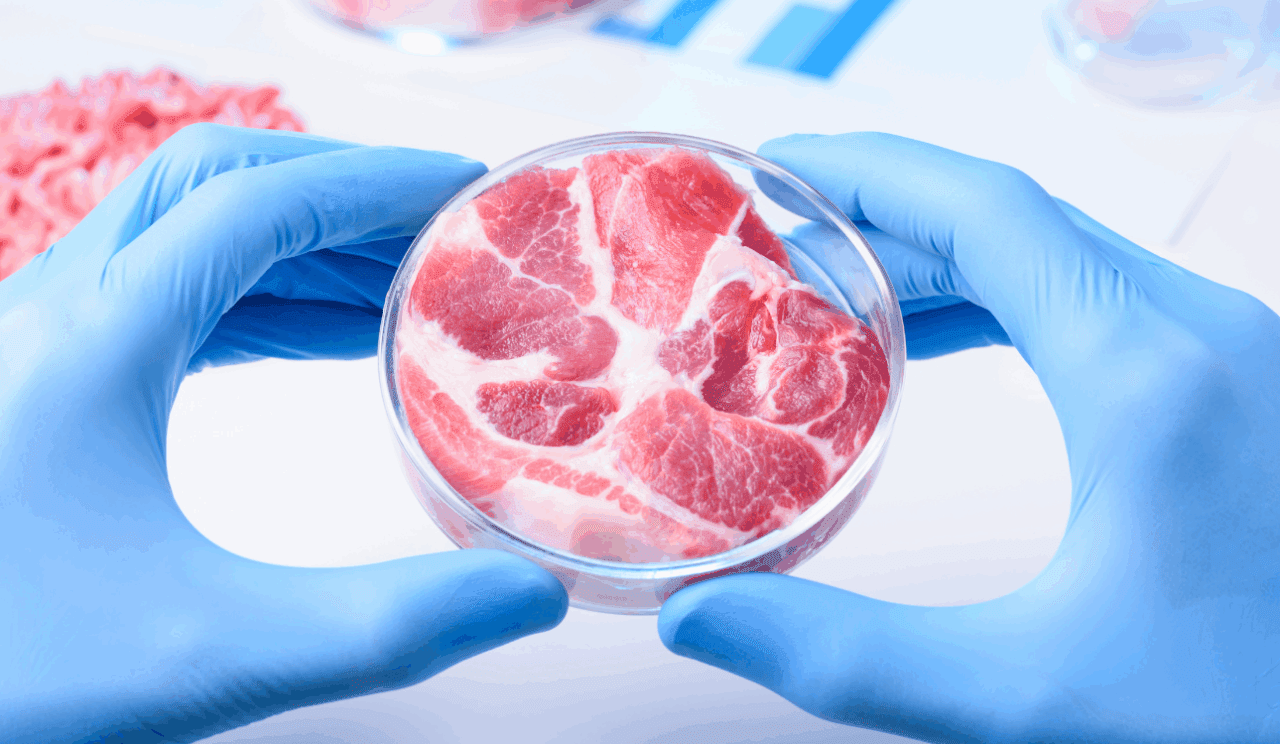 meat-1280x744.png
