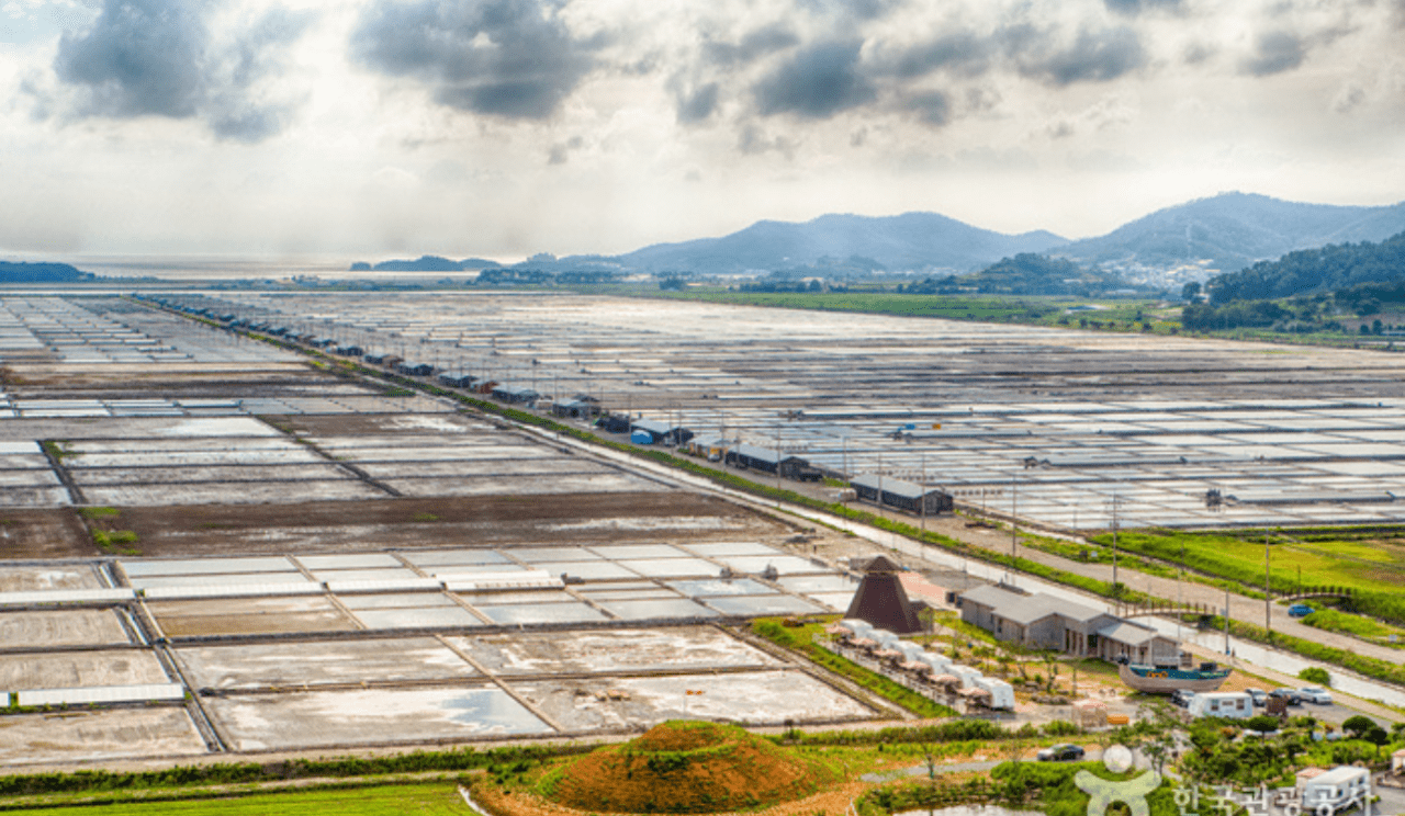 South Korea Moves to Reverse U.S. Ban on Sea Salt Imports Over Forced Labour Claims
