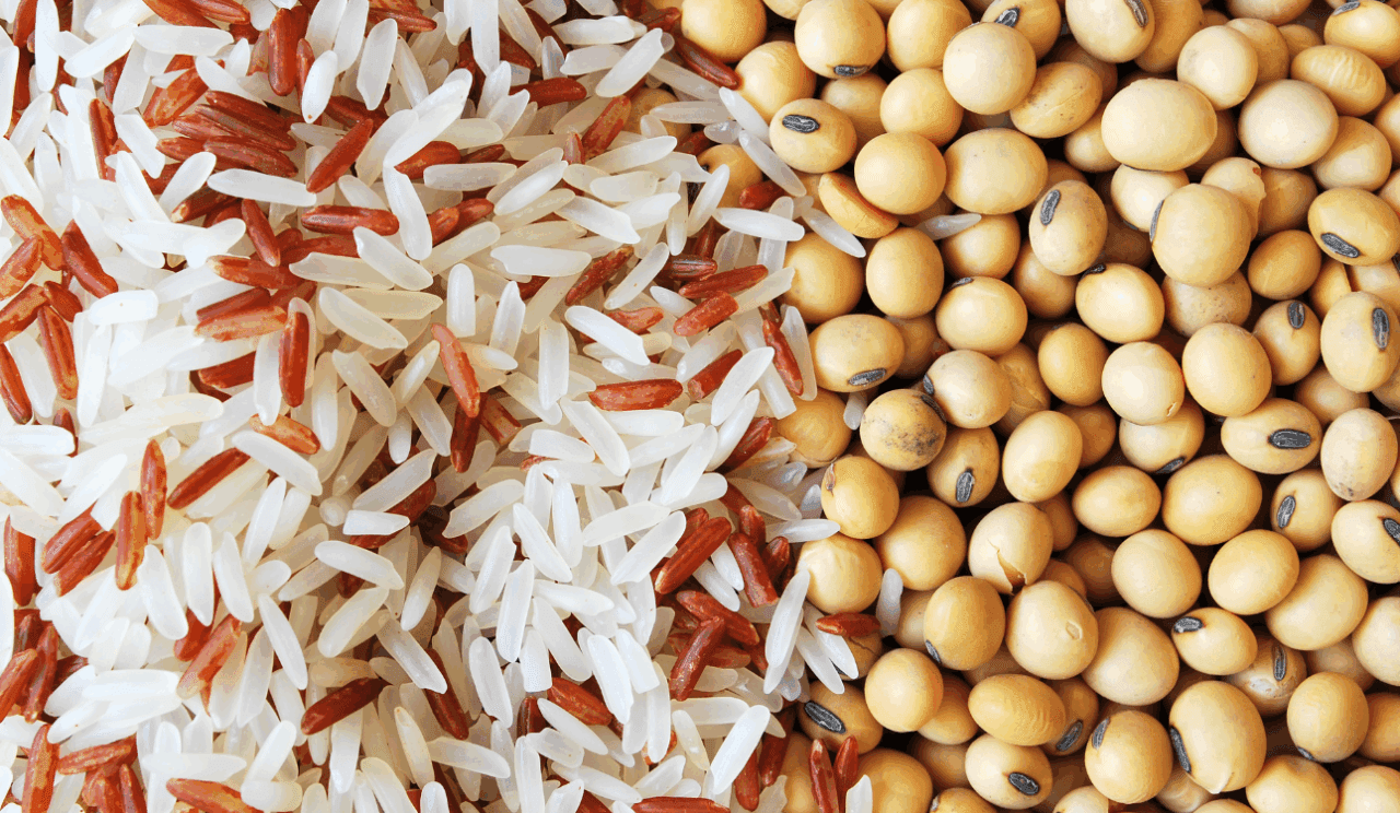 Japan May Boost U.S. Soybean and Rice Imports in Trade Deal Talks