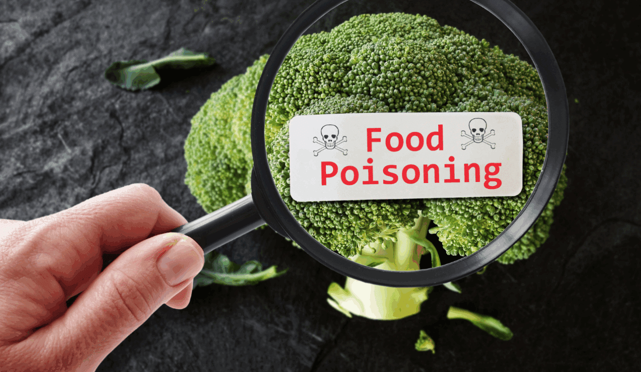 Over 100 Children Fall Ill After Snake Found in School Meal — NHRC Launches Investigation