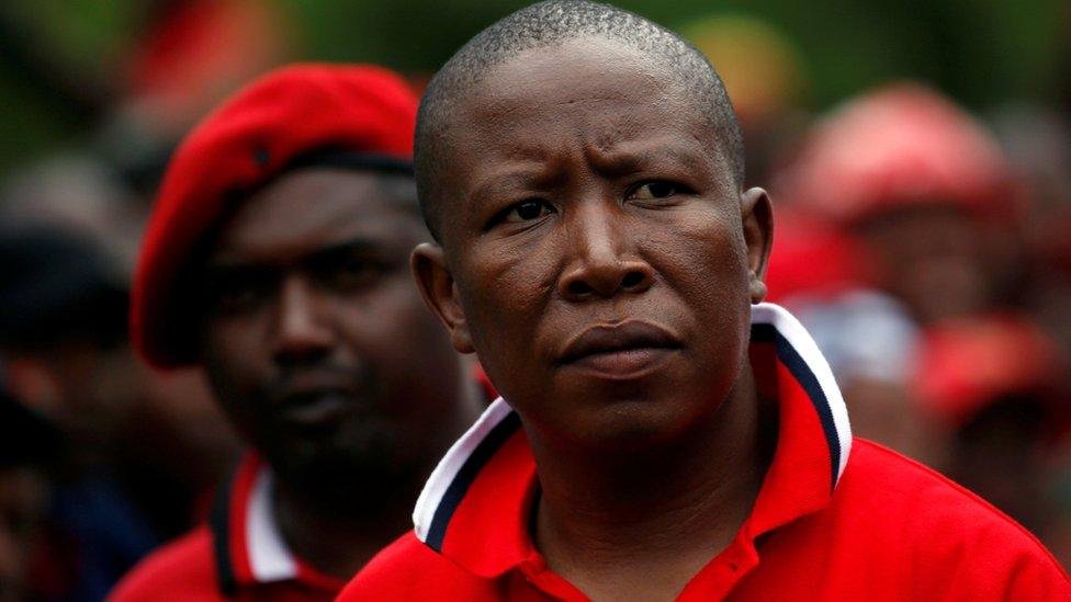 _92306748_malema423