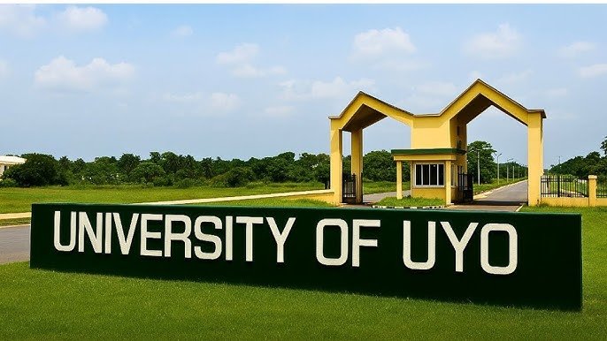 Uyo Uyo