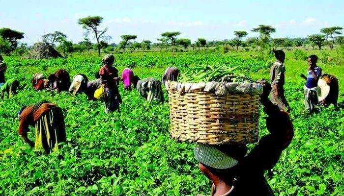 NDE-training-farmers-1