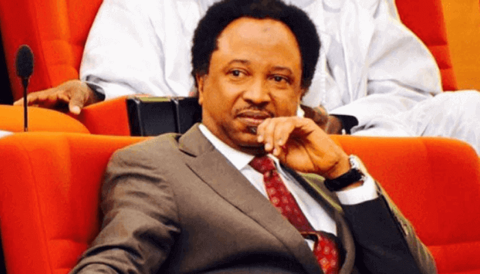 Senator-Shehu-Sani Senator-Shehu-Sani