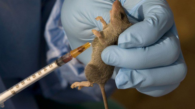 Woman-des-of-Lassa-fever-in-Benue-1.jpg