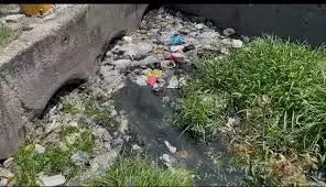 aa