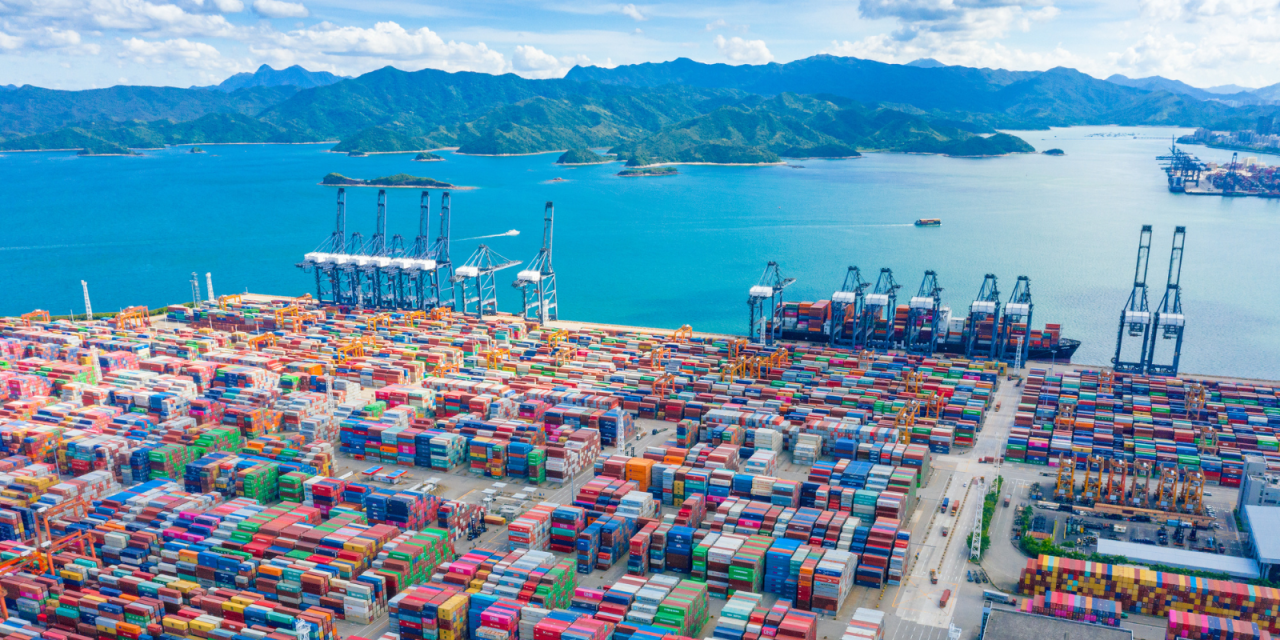 importation importation
